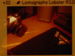 20240702LomoLobsterLomo110-2.jpg
